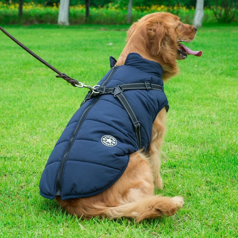Wasserdichter Hundemantel mit integriertem Geschirr