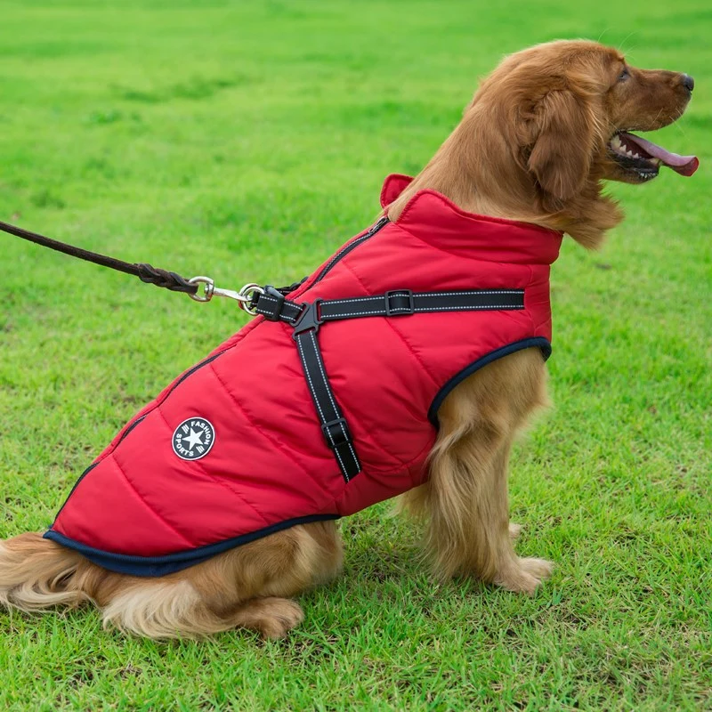 Wasserdichter Hundemantel mit integriertem Geschirr