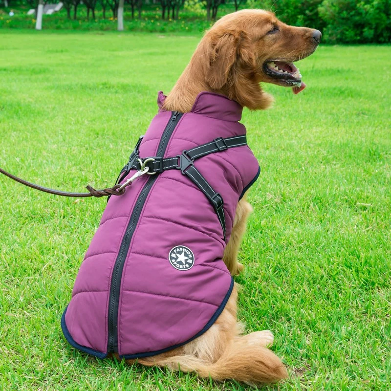 Wasserdichter Hundemantel mit integriertem Geschirr