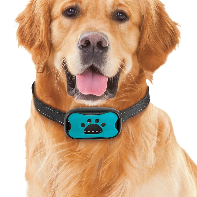 Tierfreundliches Anti-Bell-Halsband für Hunde | Fellnasenstube