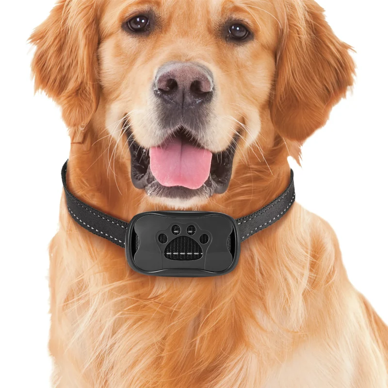 Tierfreundliches Anti-Bell-Halsband für Hunde | Fellnasenstube