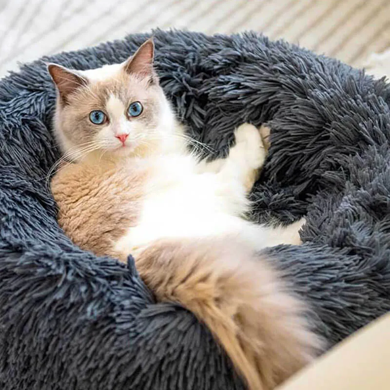"Wolke 7" flauschiges Katzenbett