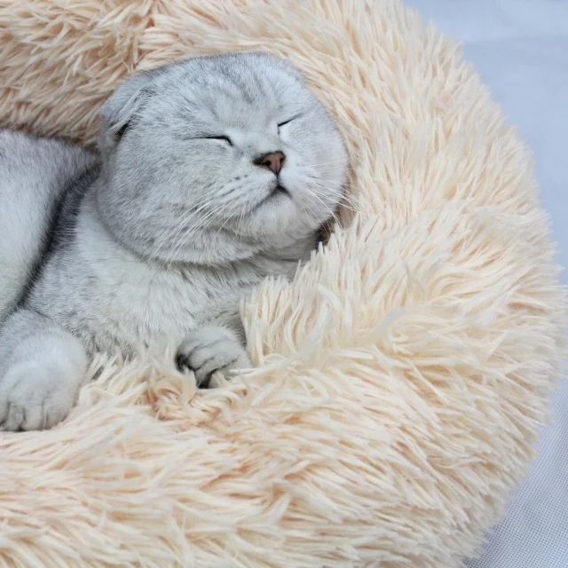 "Wolke 7" flauschiges Katzenbett