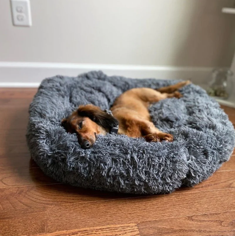 "Wolke 7" Kuscheliges Hundebett