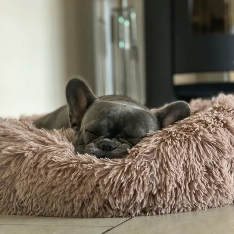 "Wolke 7" Kuscheliges Hundebett