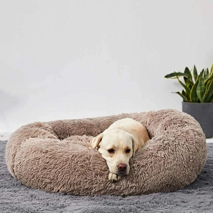 "Wolke 7" Kuscheliges Hundebett