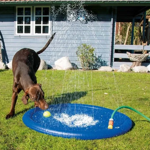 Planschbecken für Hunde mit Wassersprinkler