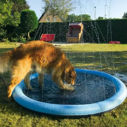 Planschbecken für Hunde mit Wassersprinkler