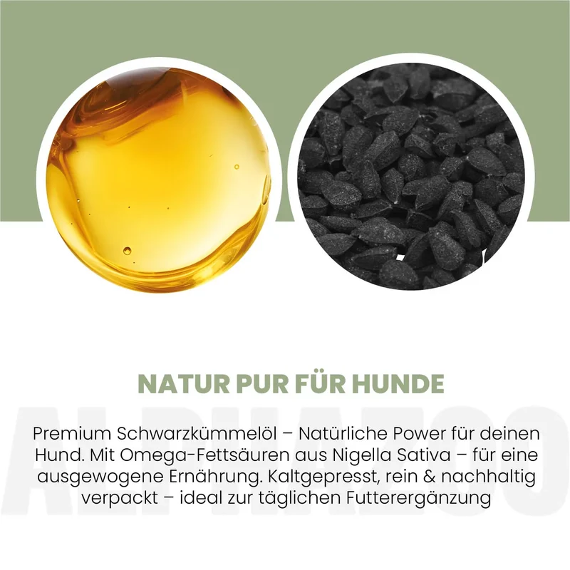 Schwarzkümmelöl für Hunde