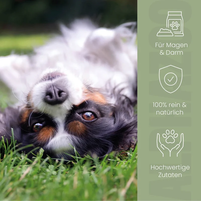 Pupsbremse Futteröl für Hunde