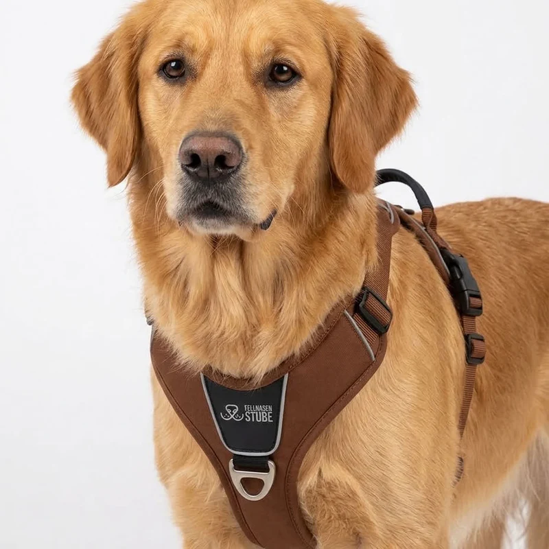 Fellnasenstube® Anti-Zieh Hundegeschirr mit Griff