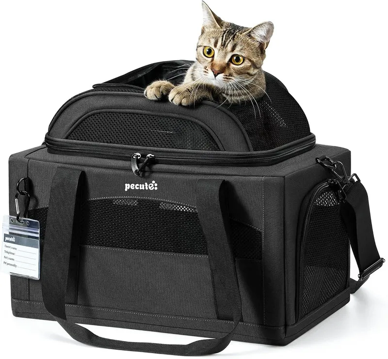 Transportador Expansível para Gatos – Aprovado por Companhias Aéreas | Extensão Superior | 42×28×23 cm