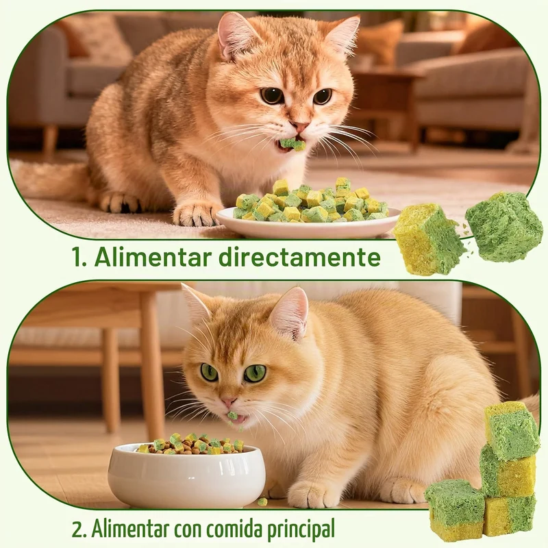 Snacks Liofilizados para Gatos Havenfly – Erva Gateira & Gema de Ovo | 60 g