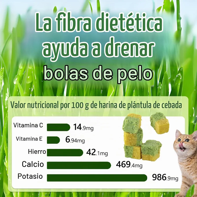 Snacks Liofilizados para Gatos Havenfly – Erva Gateira & Gema de Ovo | 60 g