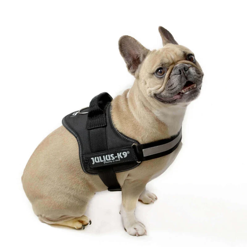 JULIUS-K9 Peitoral / Arnês para Cães IDC Powerharness com Controlo dorsal em Y