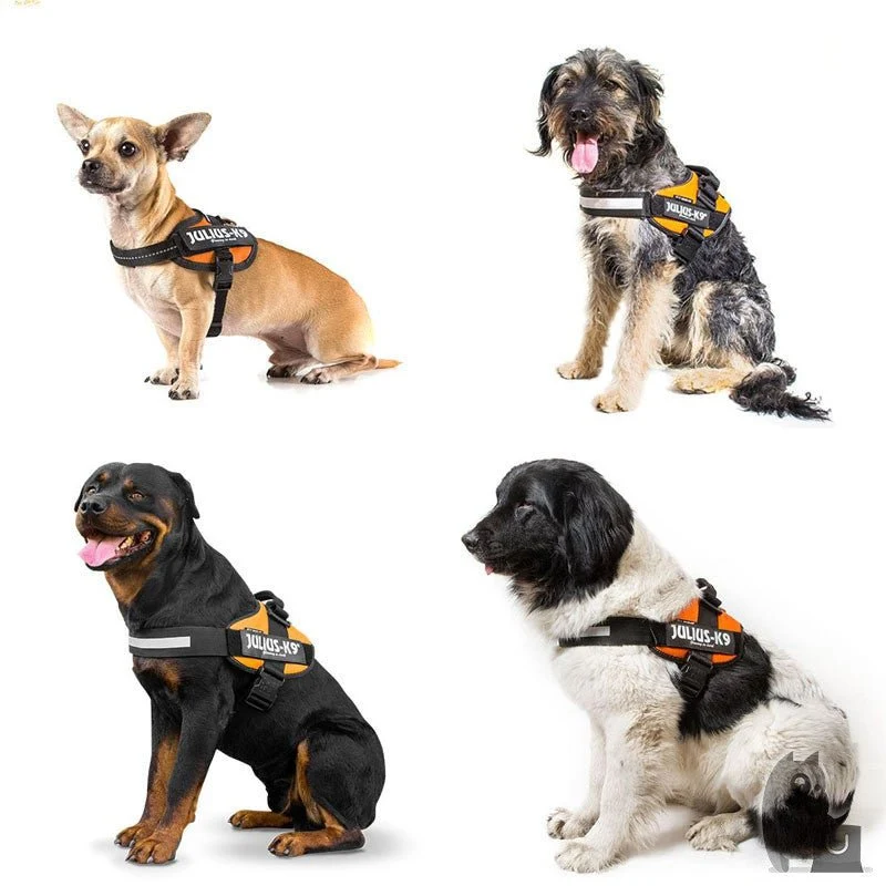 JULIUS-K9 Peitoral / Arnês para Cães IDC Powerharness com Controlo dorsal em Y