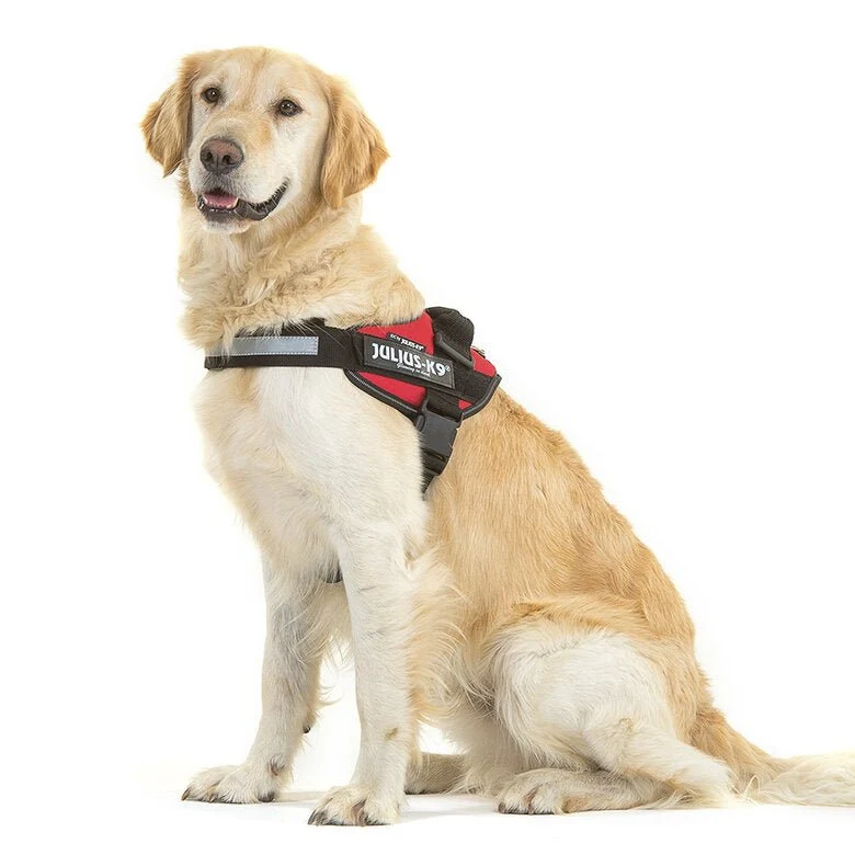 JULIUS-K9 Peitoral / Arnês para Cães IDC Powerharness com Controlo dorsal em Y