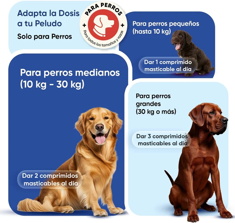 Animigo Multivitaminas para Cães | 120 Biscoitos Mastigáveis