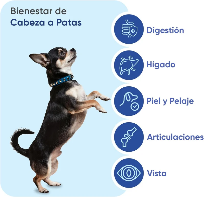 Animigo Multivitaminas para Cães | 120 Biscoitos Mastigáveis