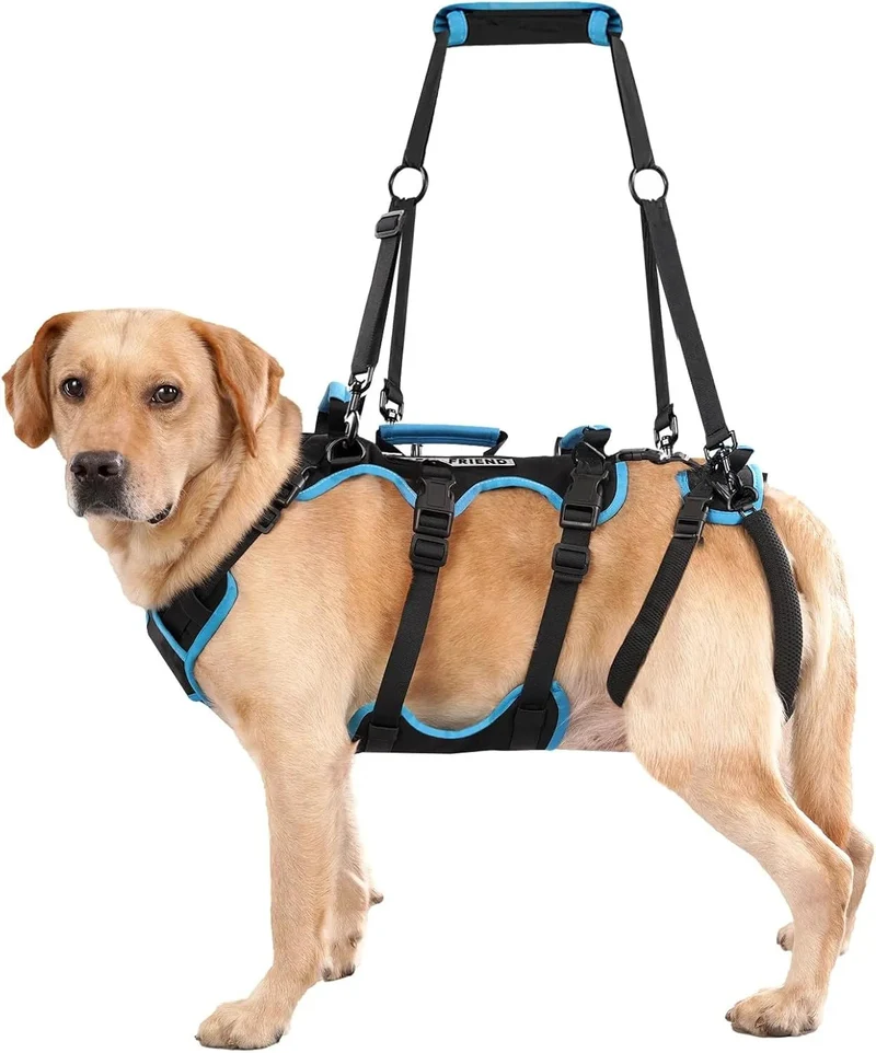 Arnês de elevação para cães grandes – Arnês de suporte destacável 2 em 1, Sling para suporte de patas traseiras de cães grandes (preto, extra grande)