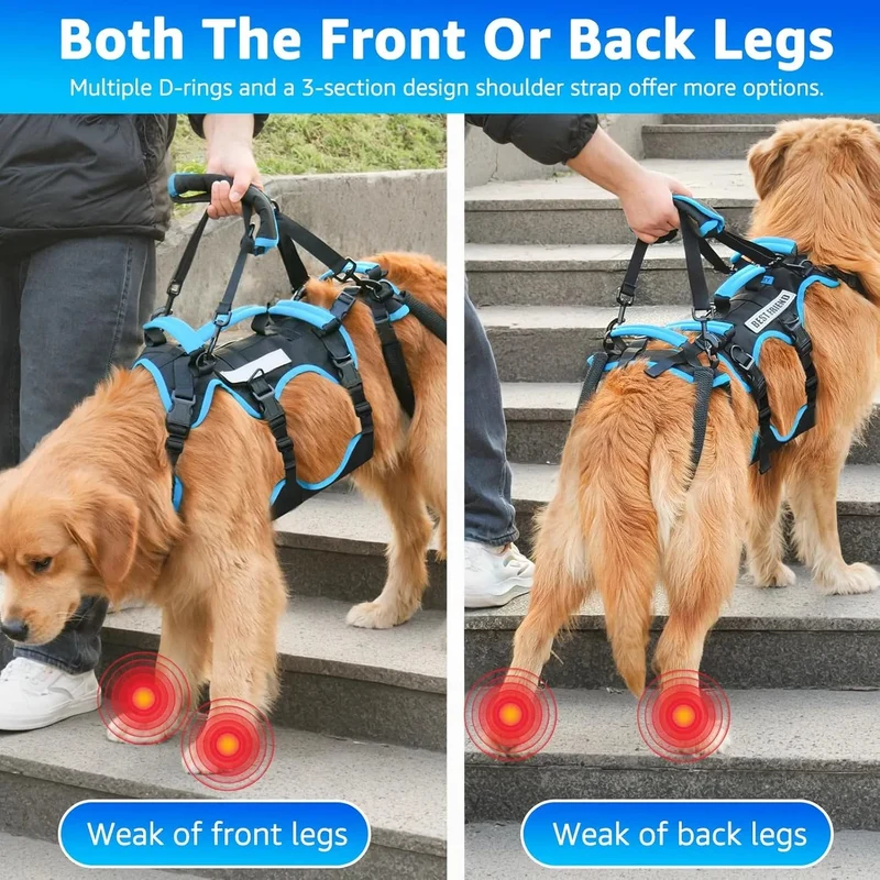 Arnês de elevação para cães grandes – Arnês de suporte destacável 2 em 1, Sling para suporte de patas traseiras de cães grandes (preto, extra grande)