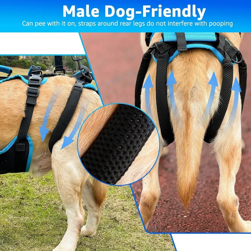 Arnês de elevação para cães grandes – Arnês de suporte destacável 2 em 1, Sling para suporte de patas traseiras de cães grandes (preto, extra grande)
