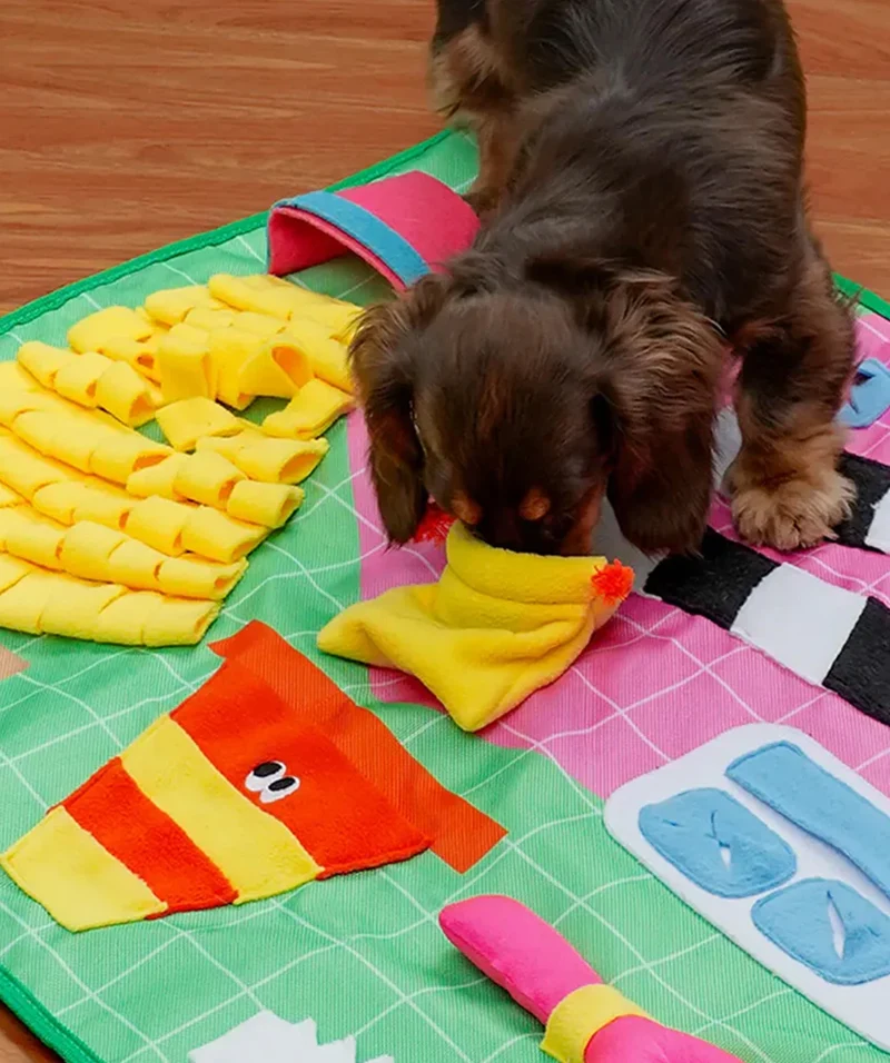 Sniff and Play