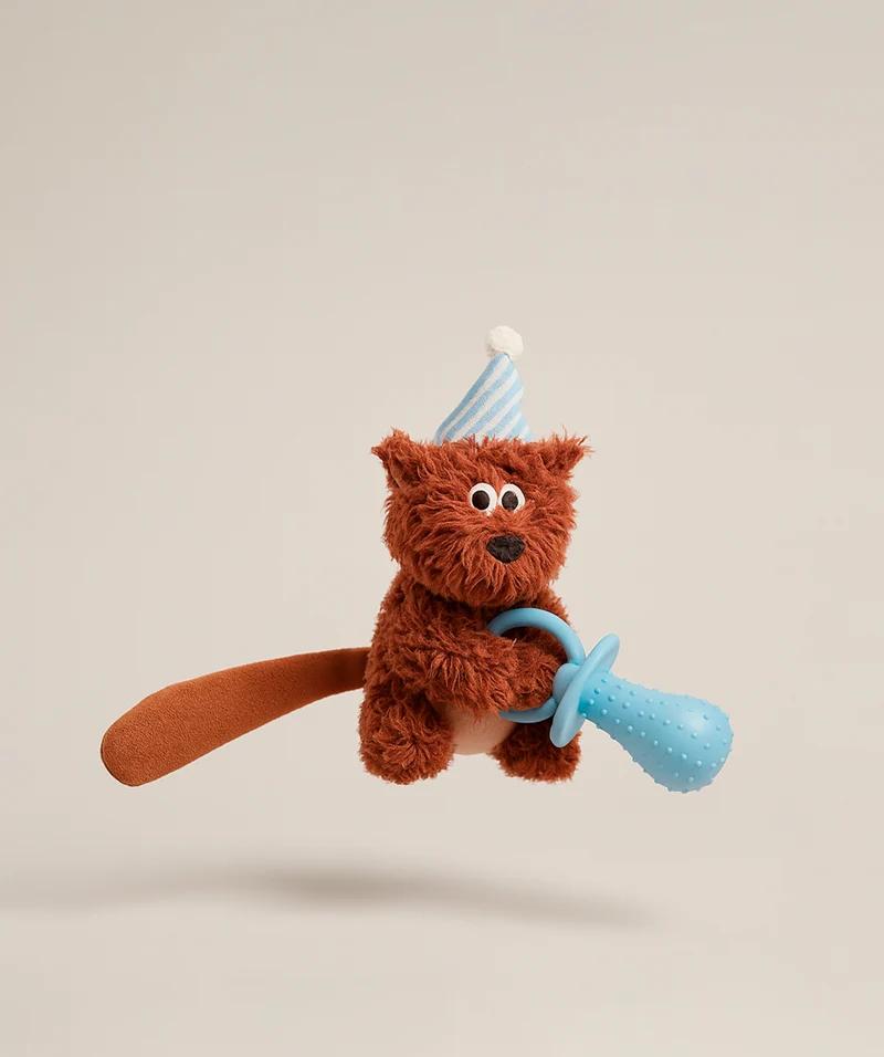 Squirrel Chew