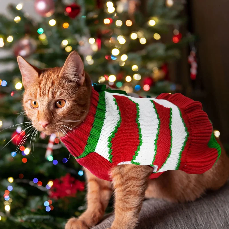 Camisola de Natal para Gatos ou Cães Pequenos e Médios