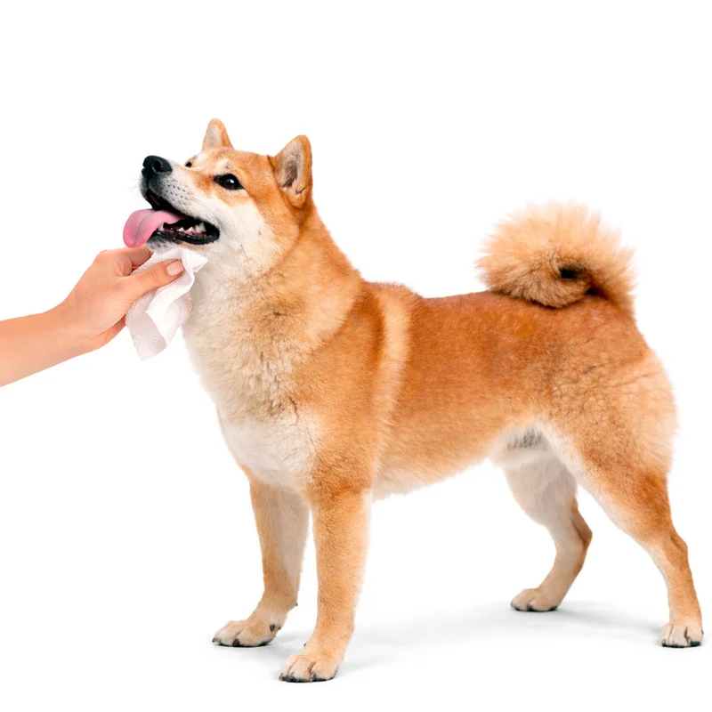 Pet Wipes - Baby Powder