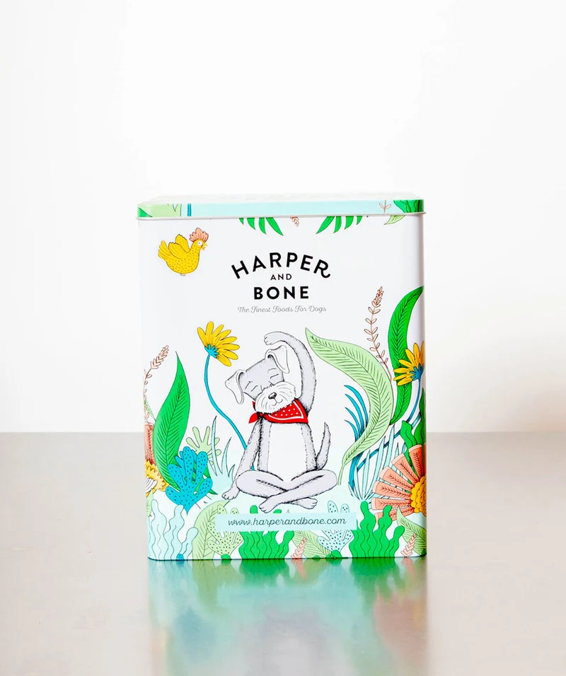 Caja metálica - Harper & Bone