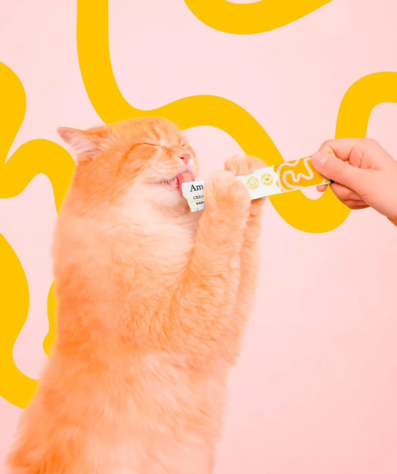 Creamy Treat - Garden Delight