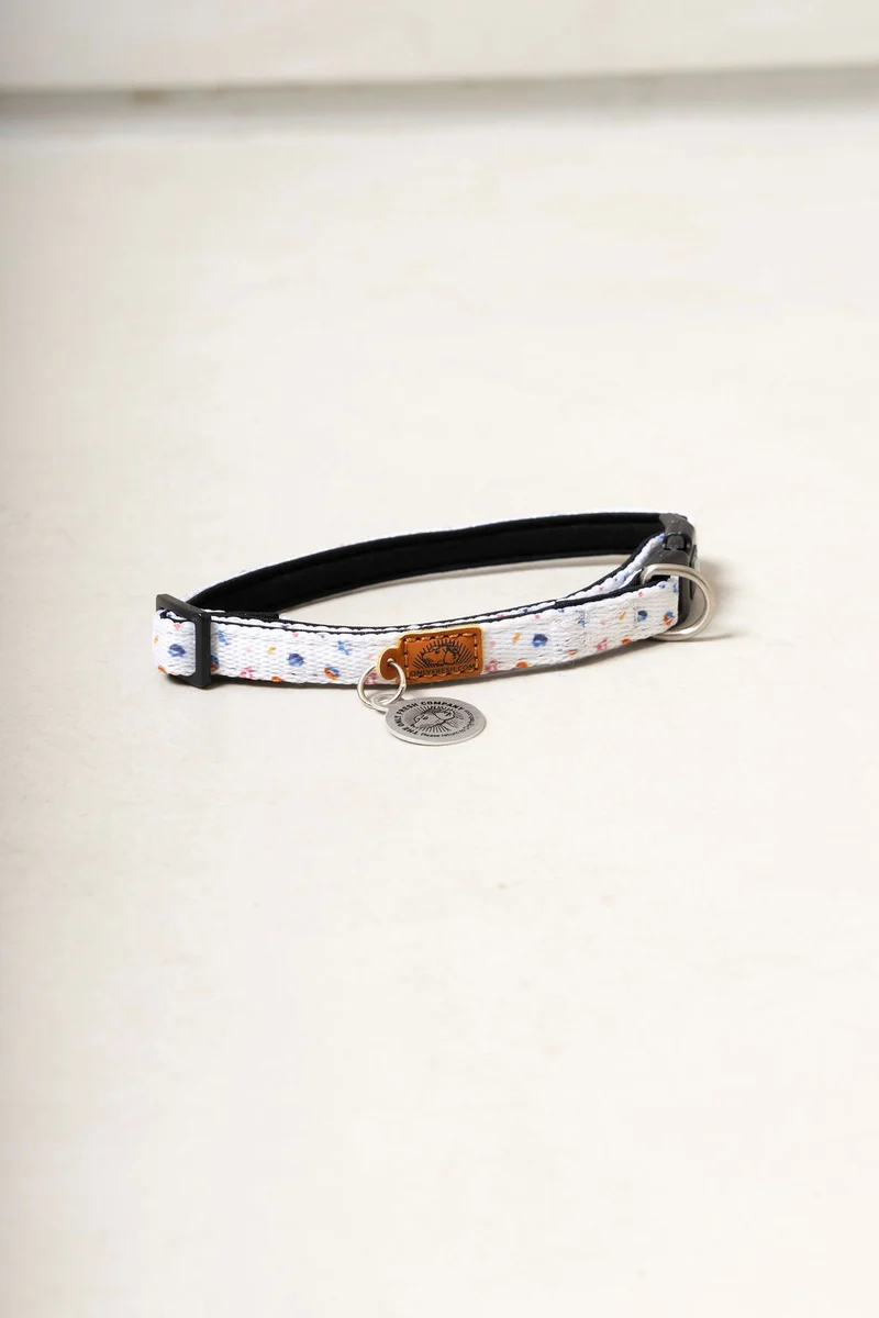 Collar para gatos