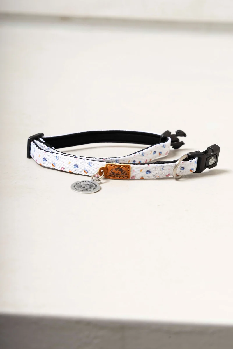 Collar para gatos
