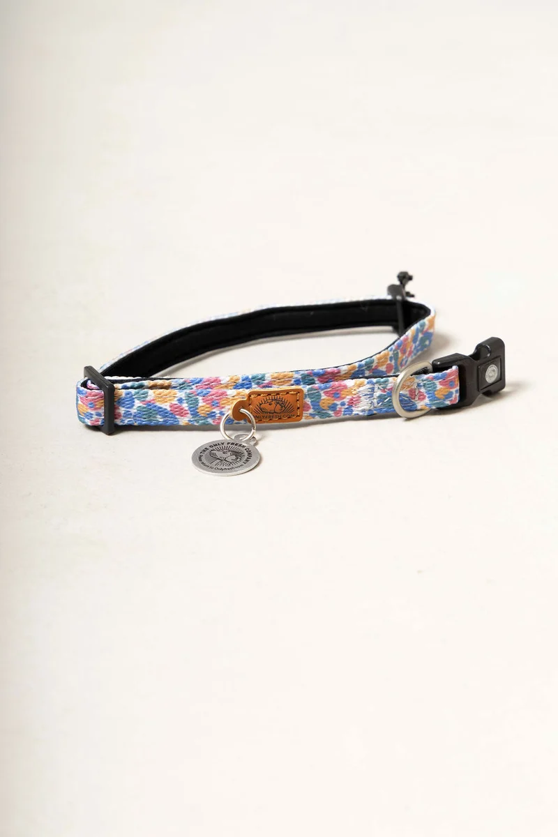 Collar para gatos