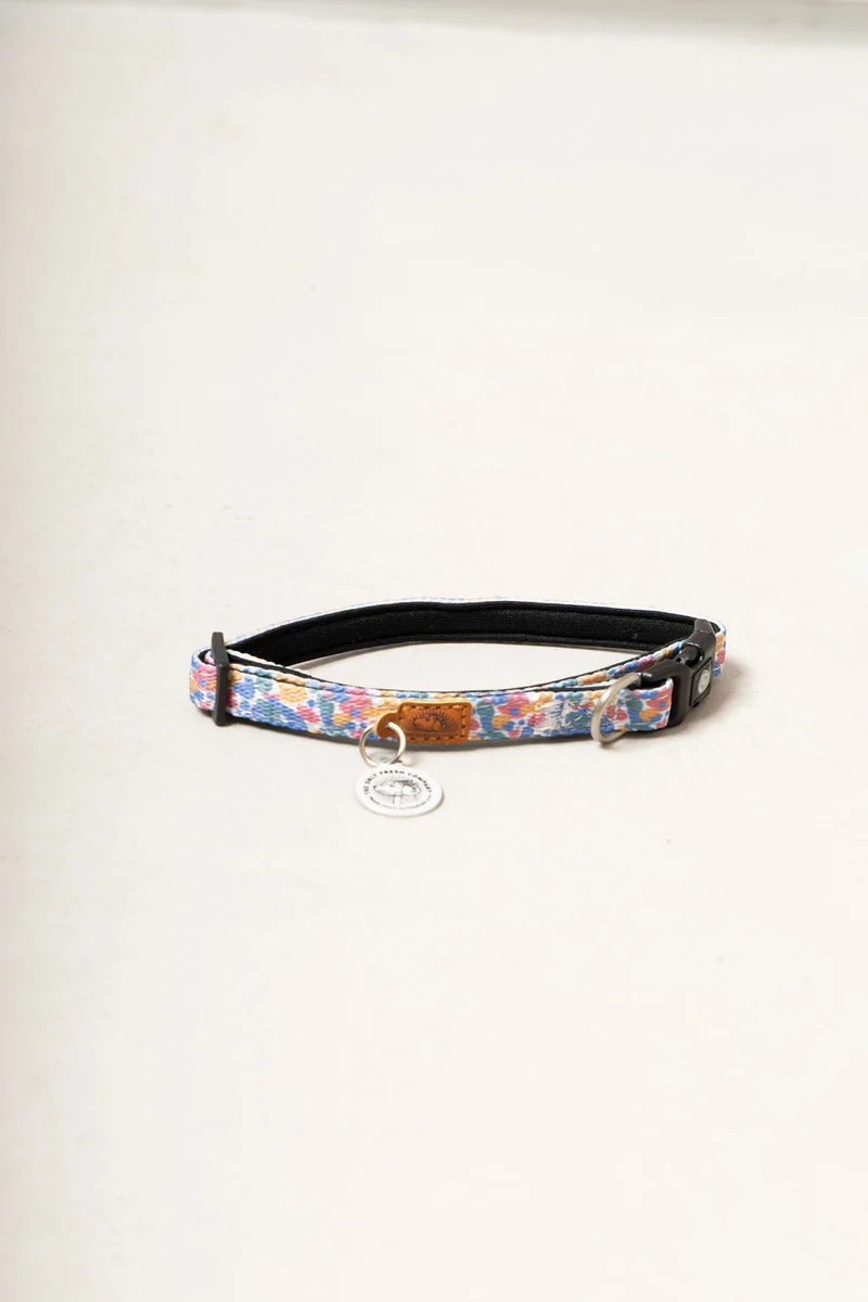 Collar para gatos