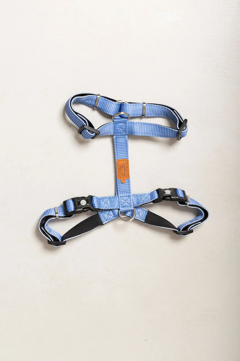 Arnés para perros - Neopreno y poliester