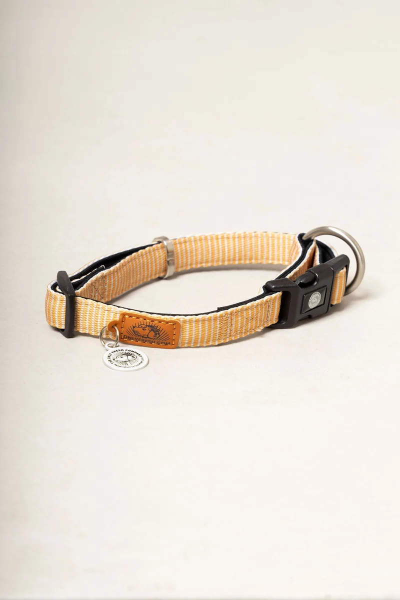 Collar para perros ajustable