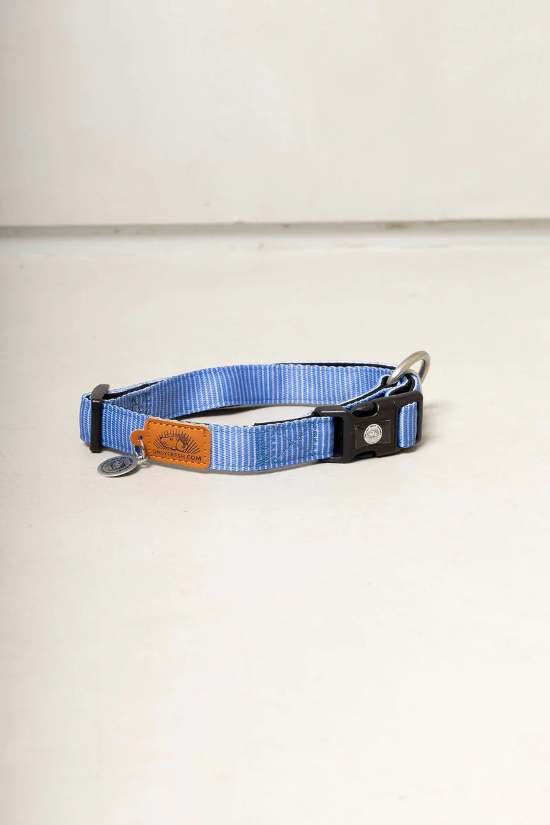 Collar para perros ajustable