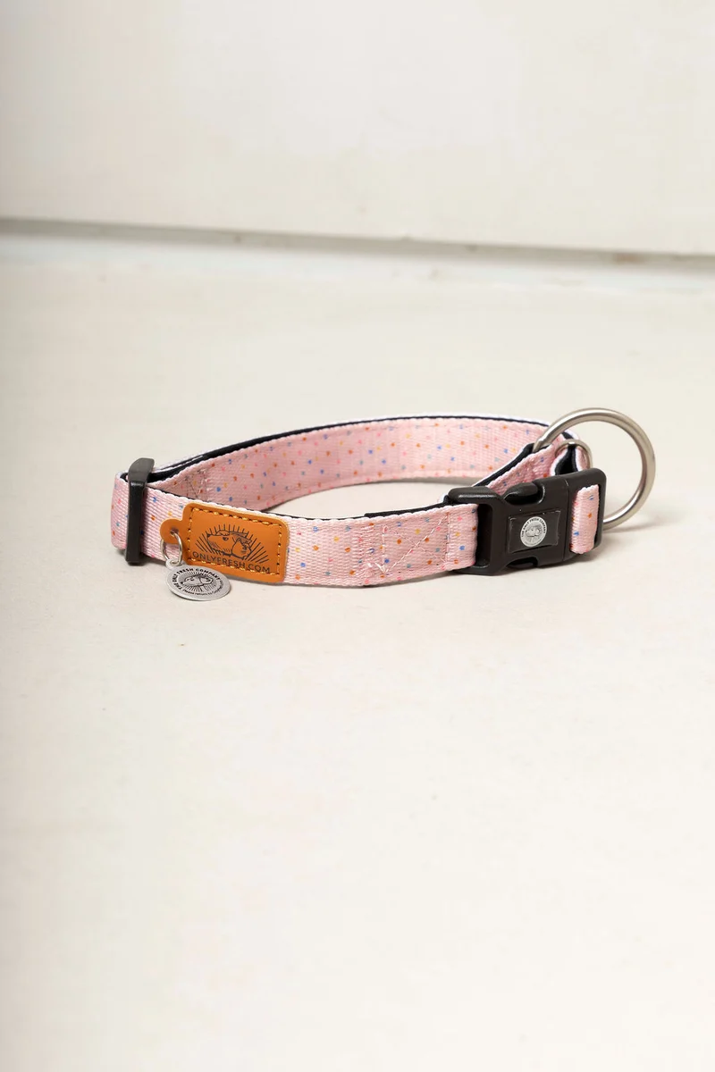 Collar para perros ajustable