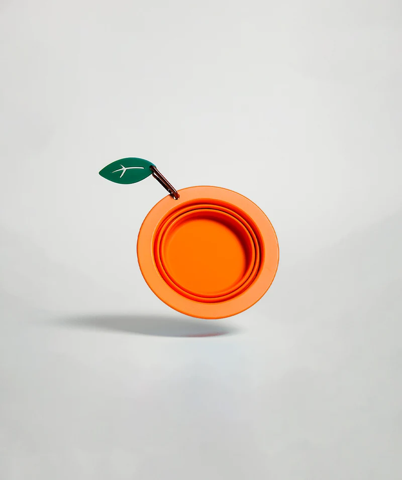 Collapsible Silicone Bowl