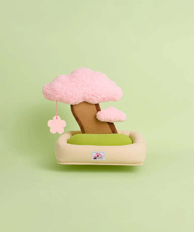 Sakura Blossom