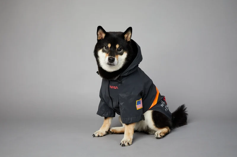 NASA Reflective Space Suit - Fancy Regenmantel für Hunde!