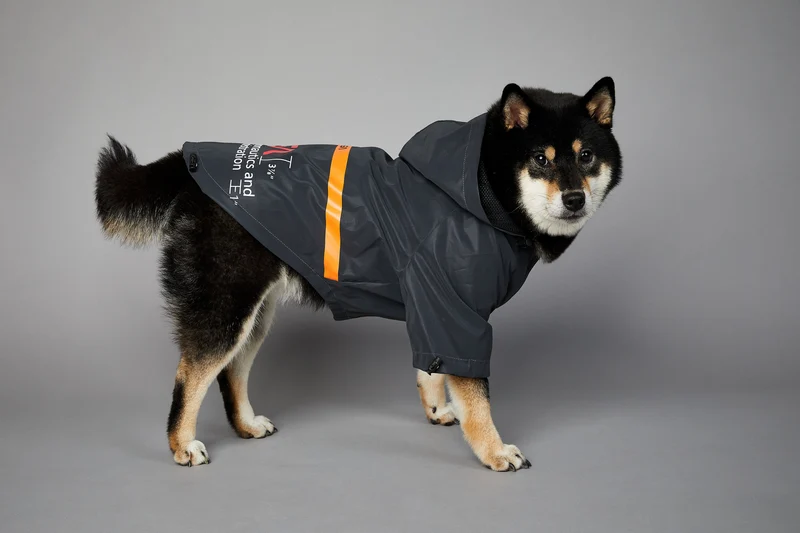 NASA Reflective Space Suit - Fancy Regenmantel für Hunde!