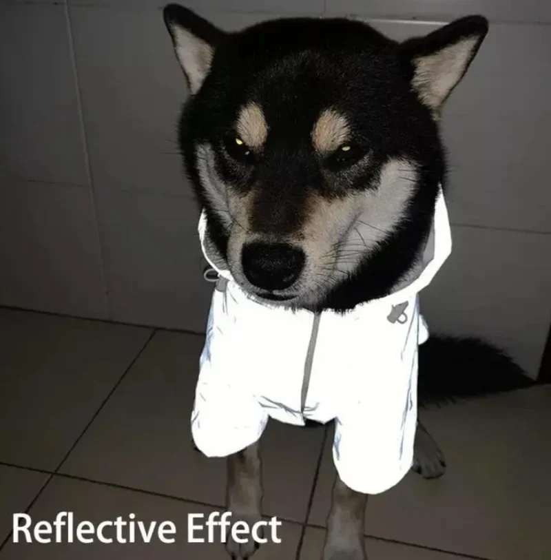 NASA Reflective Space Suit - Fancy Regenmantel für Hunde!