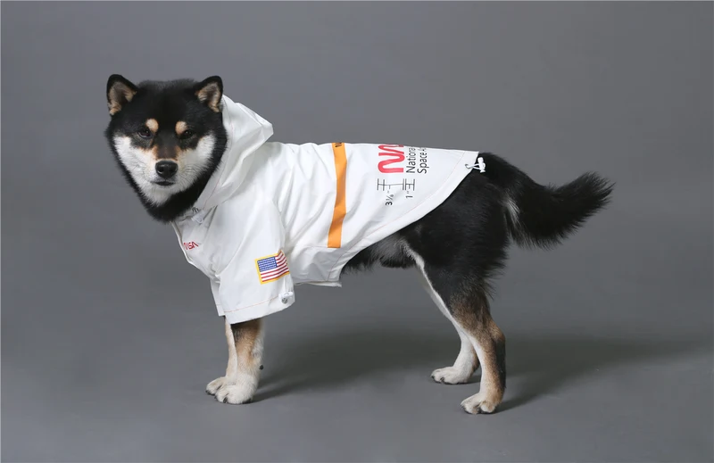 NASA Reflective Space Suit - Fancy Regenmantel für Hunde!