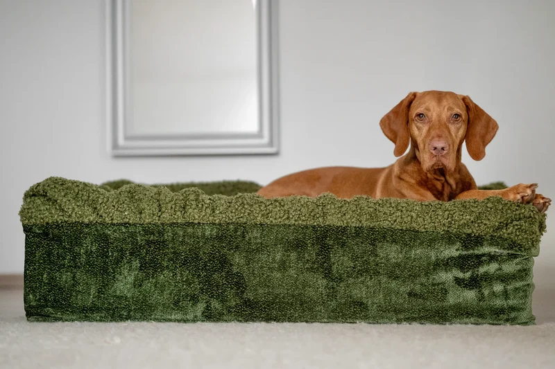 Hundebett Buddelbox - Grün