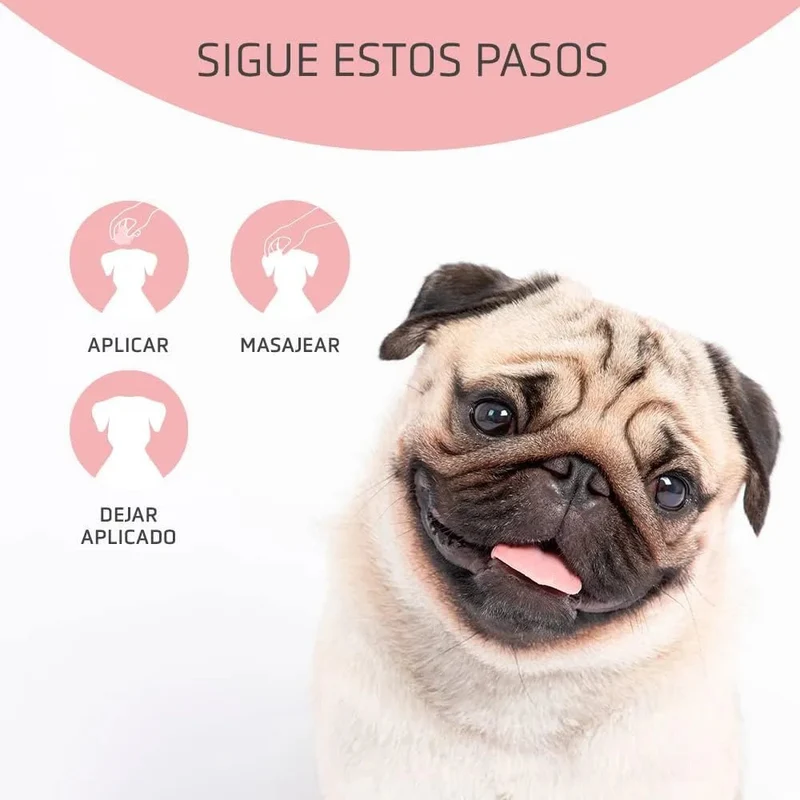 ARTERO Dfender. A solução para almofadas das patas danificadas e narizes rachados em cães