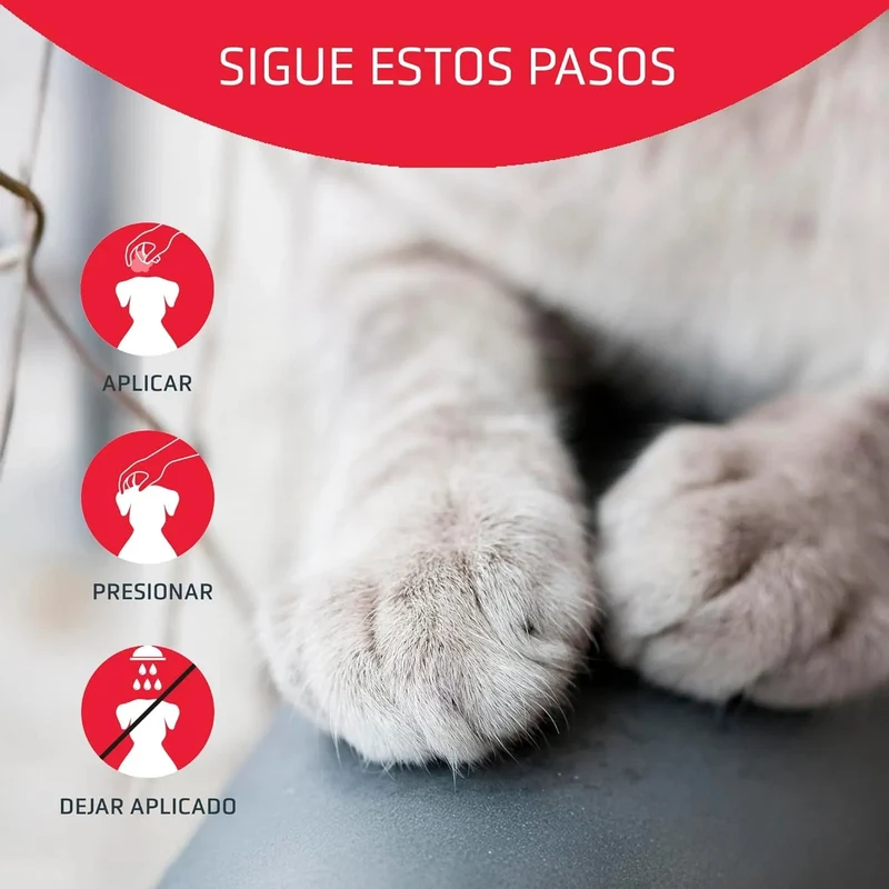 Artero Stop it. Pó hemostático para cortar as pequenas hemorragias produzidas pelo corte de unhas em cães e gatos