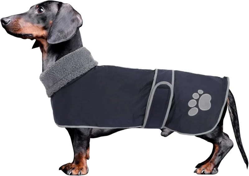Casaco de inverno impermeável para cão salsicha, com forro polar quente e orifício arnês